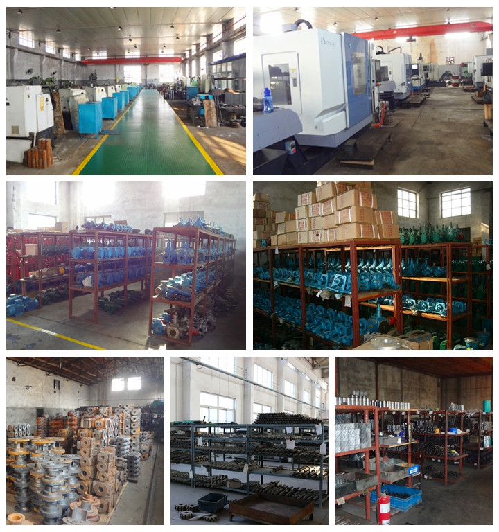 天津遠(yuǎn)東泵業(yè)廠房形象 天津遠(yuǎn)東泵業(yè)廠房形象