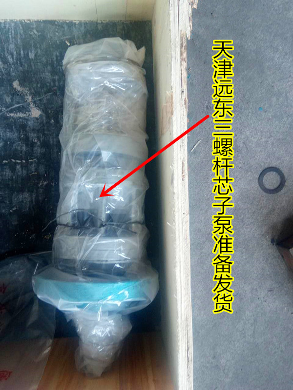 津遠三螺桿芯子泵 津遠三螺桿芯子泵