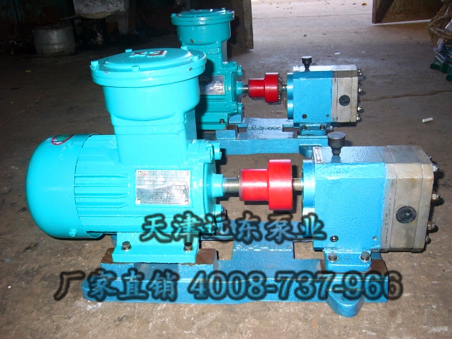 不銹鋼齒輪泵 不銹鋼齒輪泵