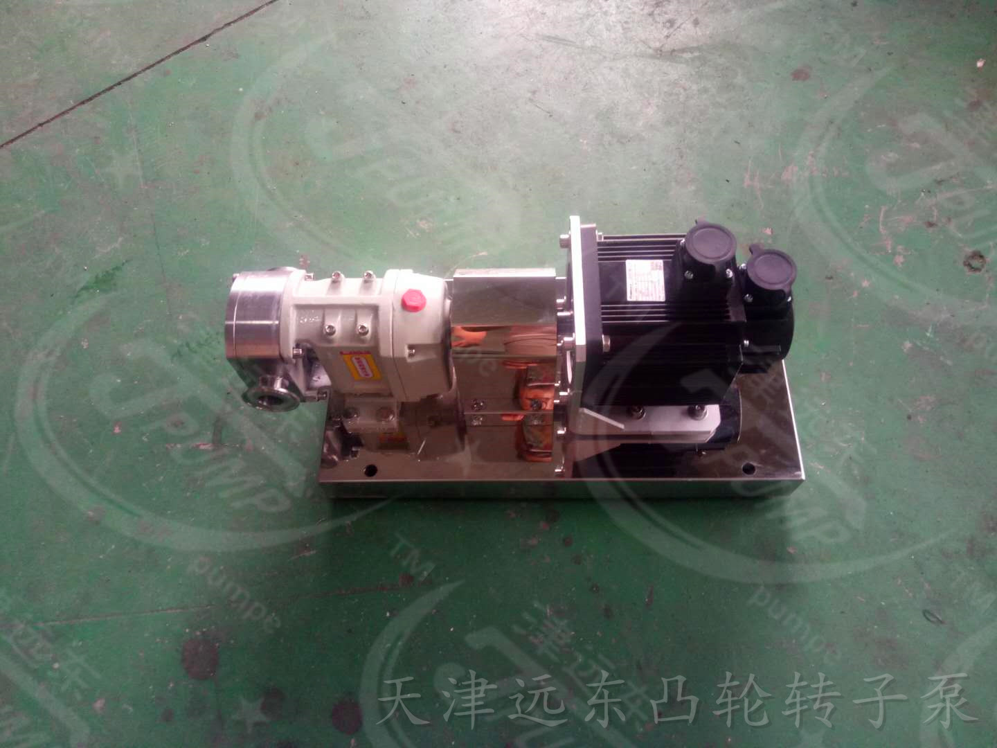 凸輪轉(zhuǎn)子泵